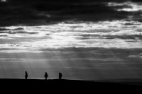 Eastbourne- Sun Rays