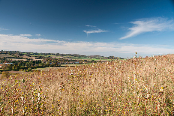 Bradenham