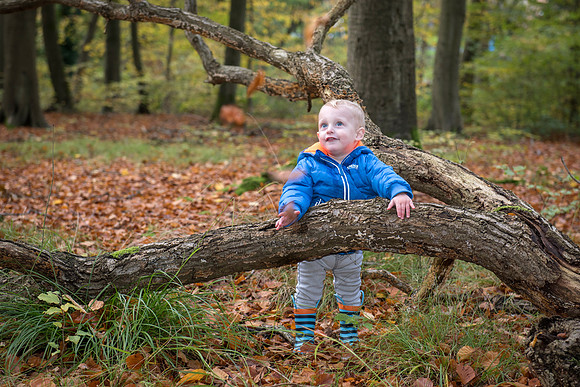 Theo 15 Months