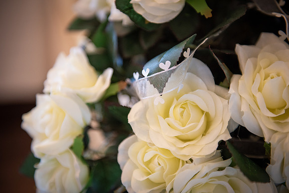 The Wedding of Sam and James