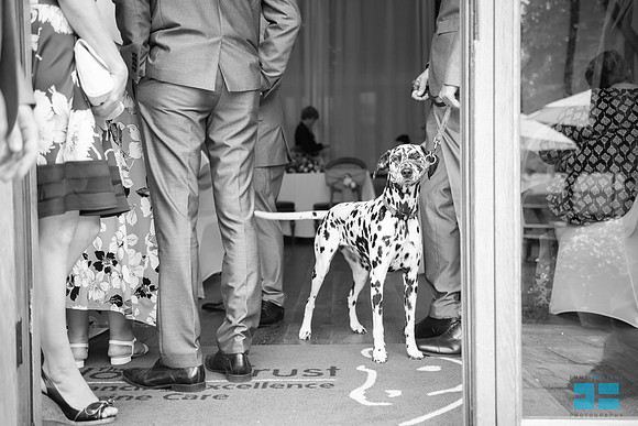 Sam and James' Wedding